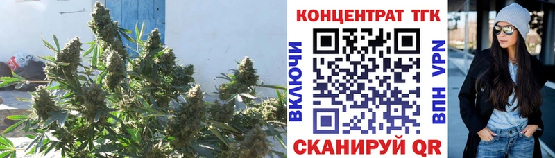 ТГК THC oil  купить  сайты  Волгореченск 