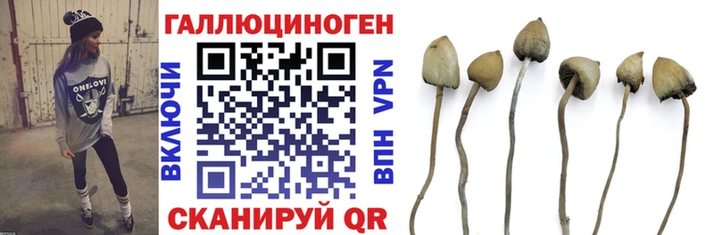 мега зеркало  купить   Волгореченск  Псилоцибиновые грибы прущие грибы 